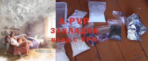 стафф Алексин