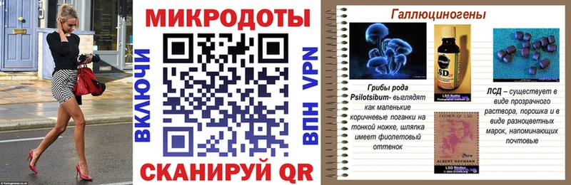 наркота  Апатиты  Галлюциногенные грибы ЛСД 