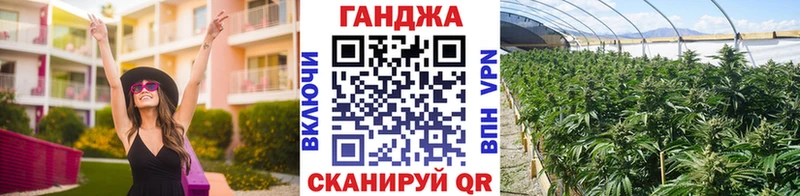 где купить   Апатиты  Шишки марихуана планчик 